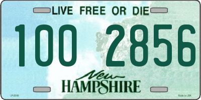 NH license plate 1002856