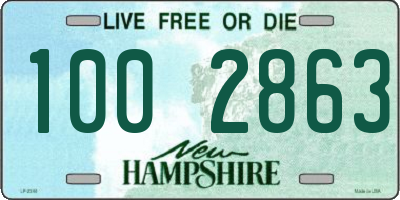 NH license plate 1002863