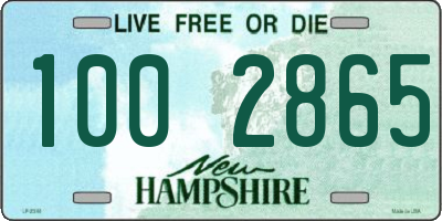 NH license plate 1002865