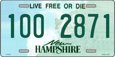 NH license plate 1002871