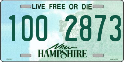 NH license plate 1002873