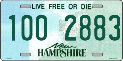 NH license plate 1002883