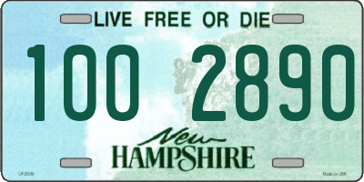 NH license plate 1002890