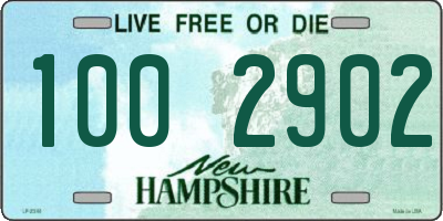 NH license plate 1002902