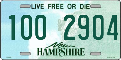 NH license plate 1002904