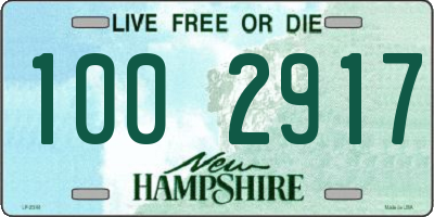 NH license plate 1002917