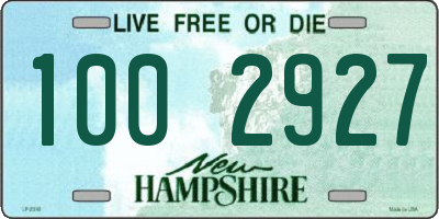 NH license plate 1002927