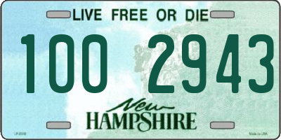 NH license plate 1002943