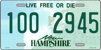 NH license plate 1002945