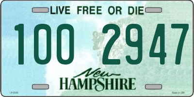 NH license plate 1002947