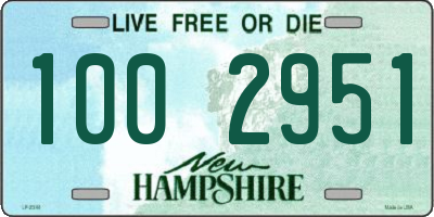 NH license plate 1002951