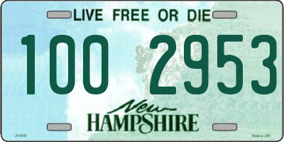 NH license plate 1002953