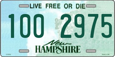 NH license plate 1002975