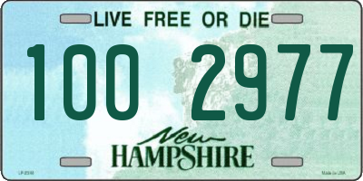 NH license plate 1002977