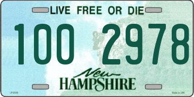 NH license plate 1002978