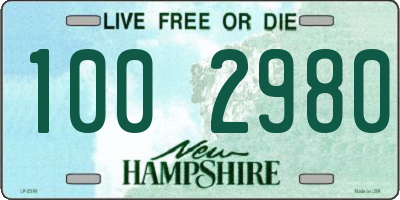 NH license plate 1002980