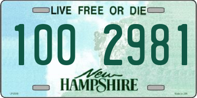 NH license plate 1002981