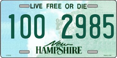 NH license plate 1002985