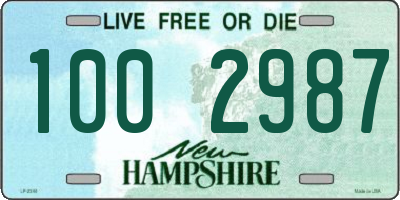 NH license plate 1002987