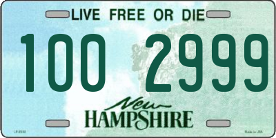 NH license plate 1002999