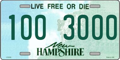 NH license plate 1003000