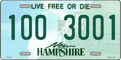 NH license plate 1003001