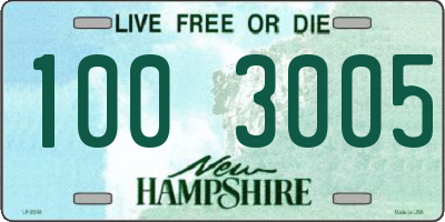 NH license plate 1003005