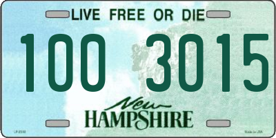 NH license plate 1003015