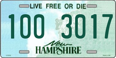 NH license plate 1003017