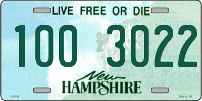 NH license plate 1003022