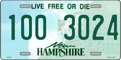 NH license plate 1003024