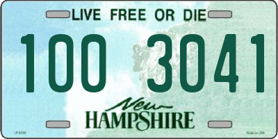 NH license plate 1003041