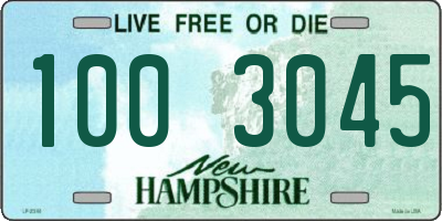 NH license plate 1003045