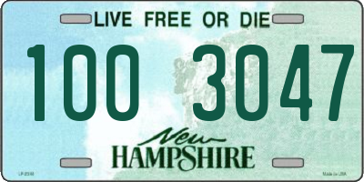 NH license plate 1003047