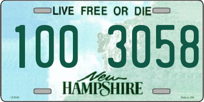 NH license plate 1003058