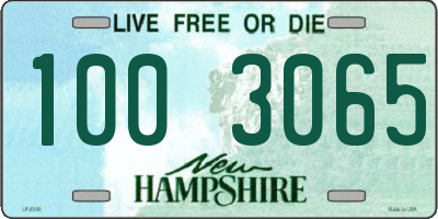 NH license plate 1003065
