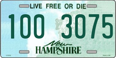 NH license plate 1003075