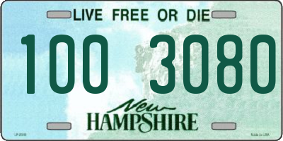 NH license plate 1003080