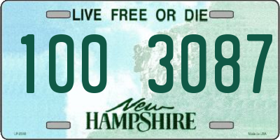 NH license plate 1003087