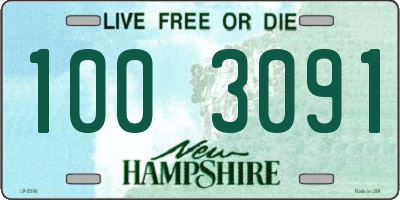 NH license plate 1003091