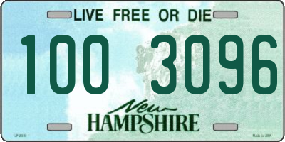 NH license plate 1003096