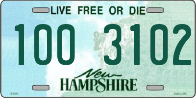 NH license plate 1003102