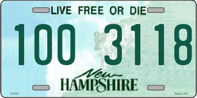 NH license plate 1003118