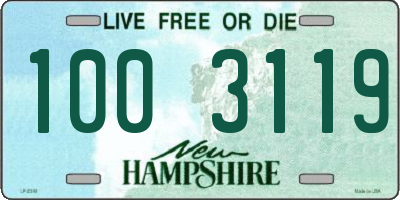 NH license plate 1003119