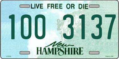 NH license plate 1003137