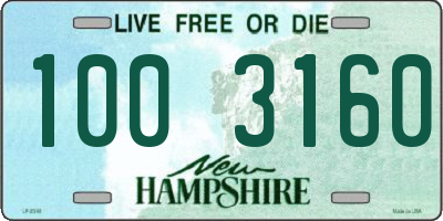 NH license plate 1003160
