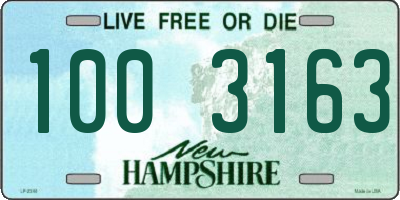 NH license plate 1003163