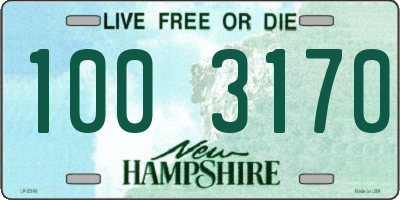 NH license plate 1003170