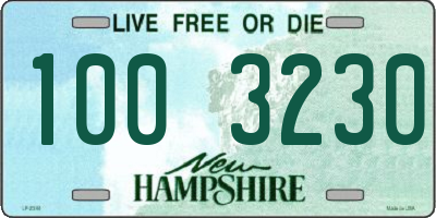 NH license plate 1003230