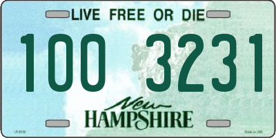 NH license plate 1003231